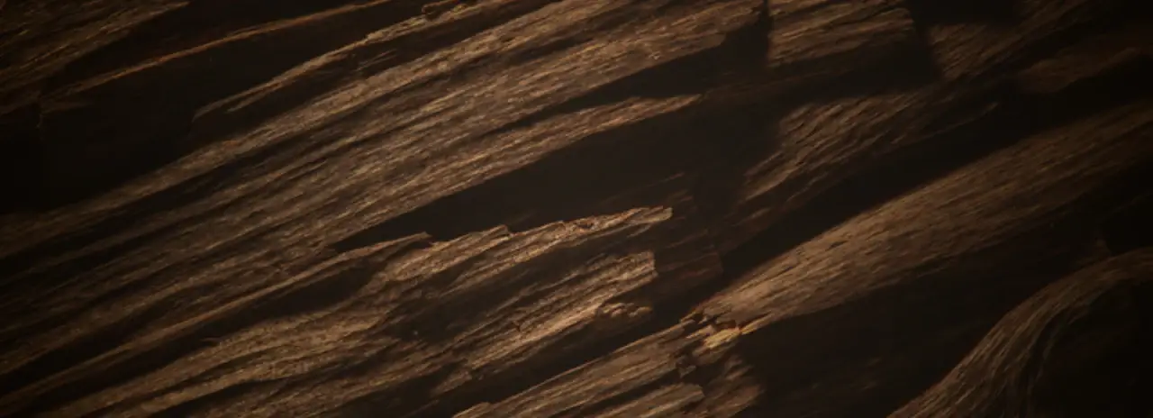 Discover banner 2