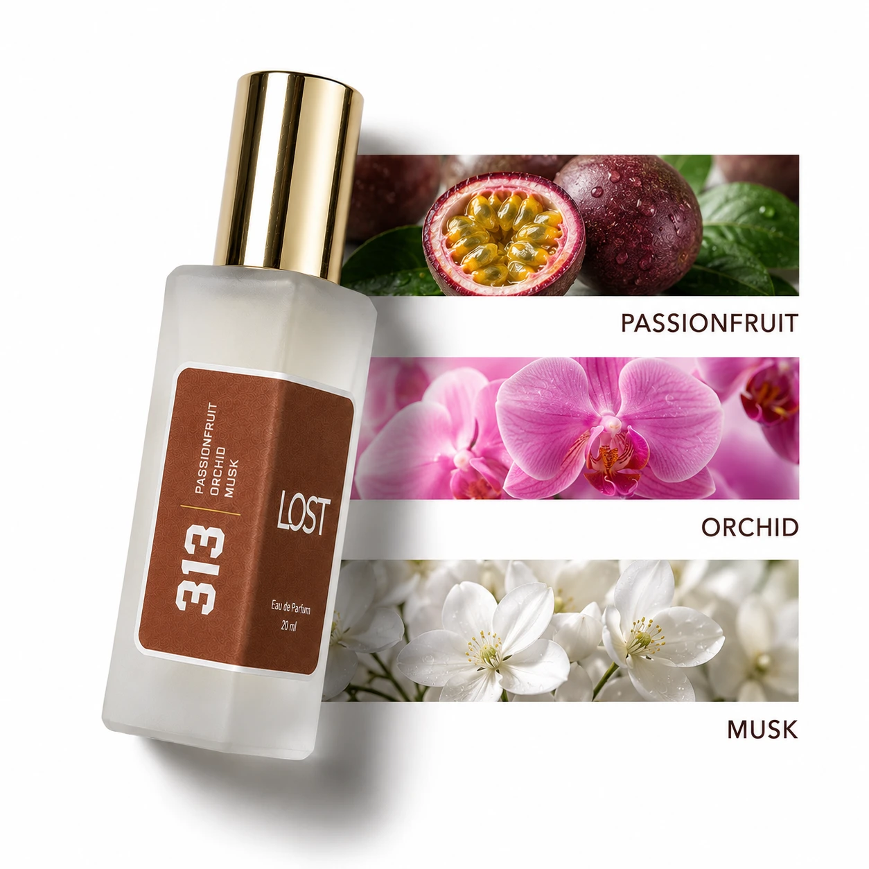 1 313 - Lost-Naturals