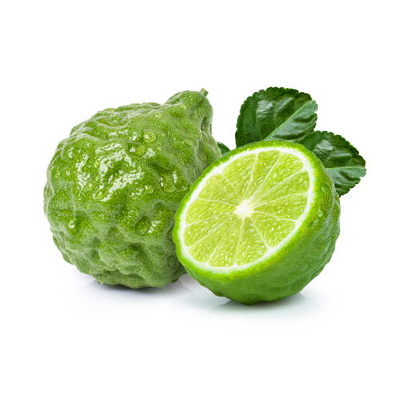 Bergamot