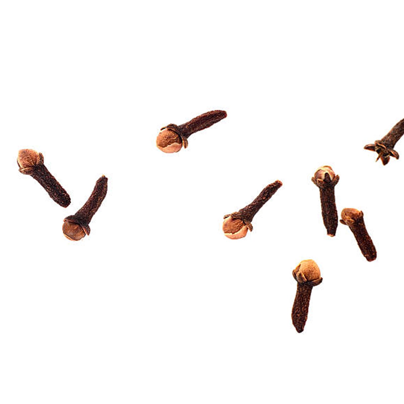 Clove