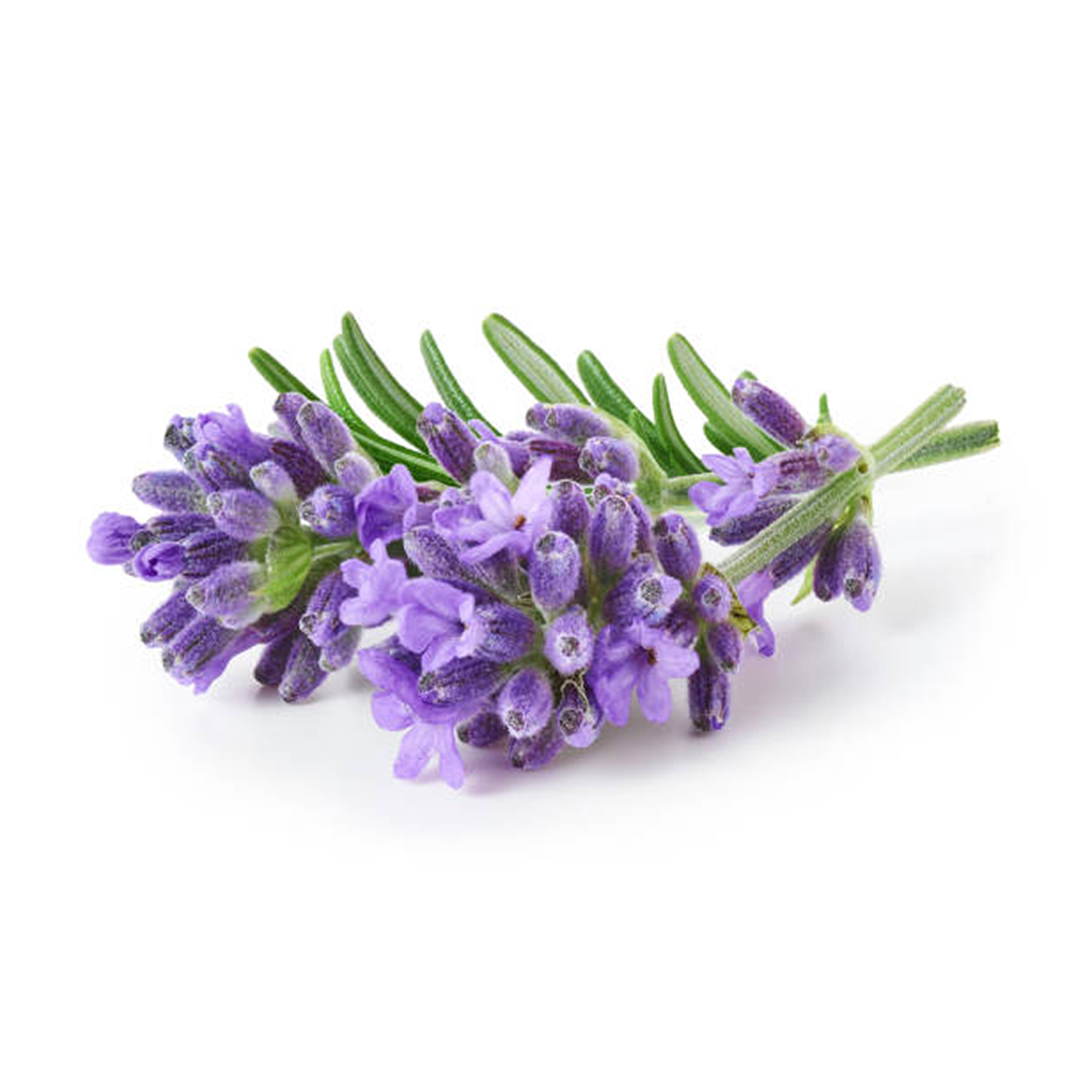 Saffron