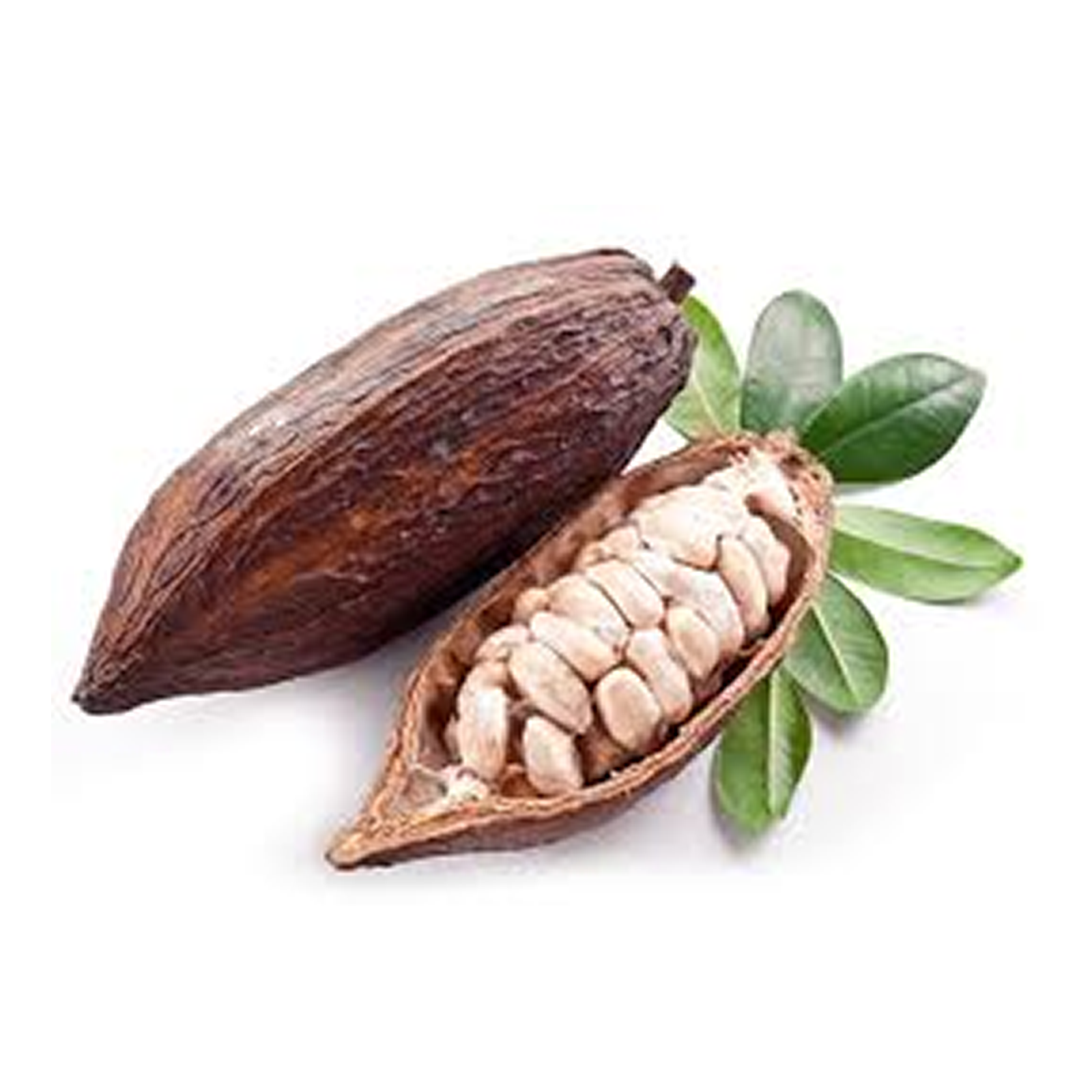 Cocoa